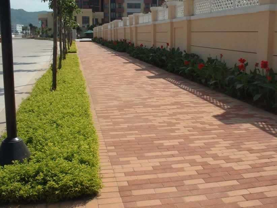 1548785419864336.jpg c01.jpg